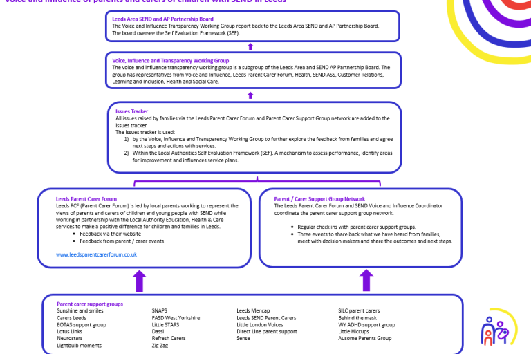 image of the parent carer voice and influence model. 