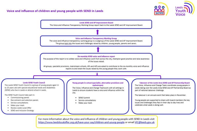 CYP voice and influence model 2026
